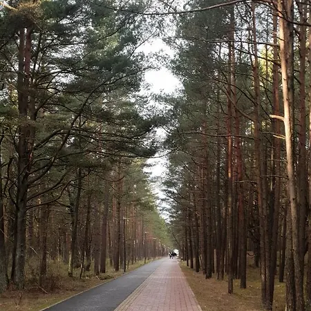 Elijos Apartamentai *