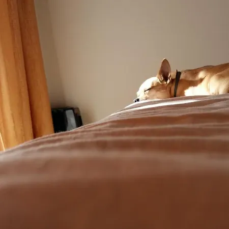 Elijos Apartamentai
