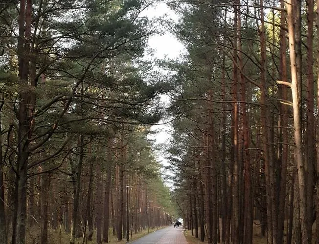 Elijos Apartamentai *