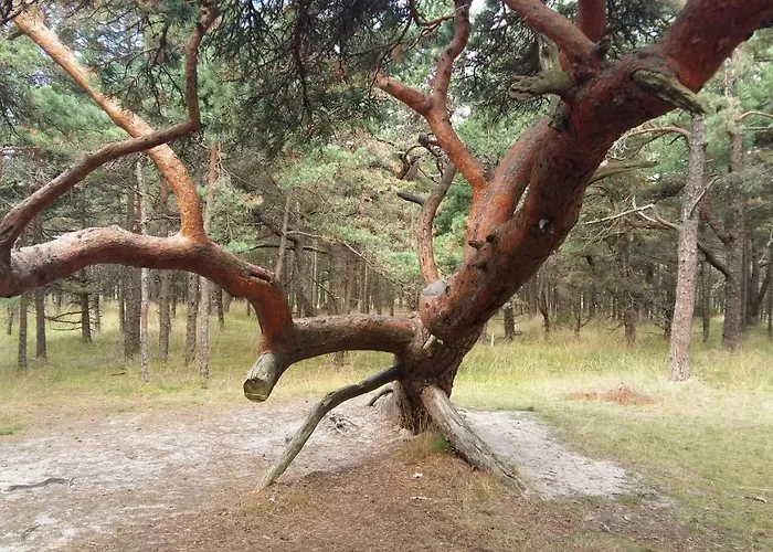 아파트 Elijos Apartamentai